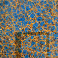 Art Of Soundscape 2 - Keyscapes and Landscapes