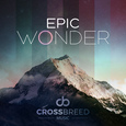 EPIC WONDER