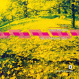 SELECTRONICA VOL 4 - ORGANIC SOUL